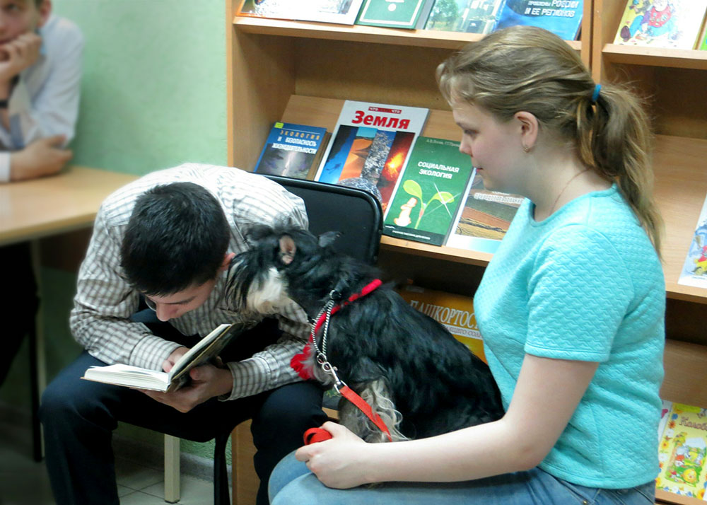 Photo of Cобака всегда готова помочь найти ответ в книге