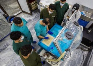 Iraqi libraries build infrastructure and expertise to safeguard and give access to documentary heritage